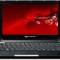 Нетбук Packard Bell DOT SE-301RU экран
