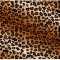 Наклейка на крышку ноутбука G-Cube Laptop Sticker (Lux Leopard Brown) GSL-17B