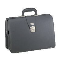 Elegance Portago K-828 для ноутбука 14"